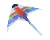 Drak vystřelovací papoušek 38 cm